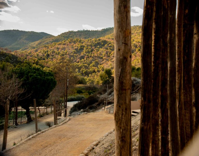 finca-1_21