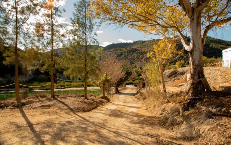 finca-1_23