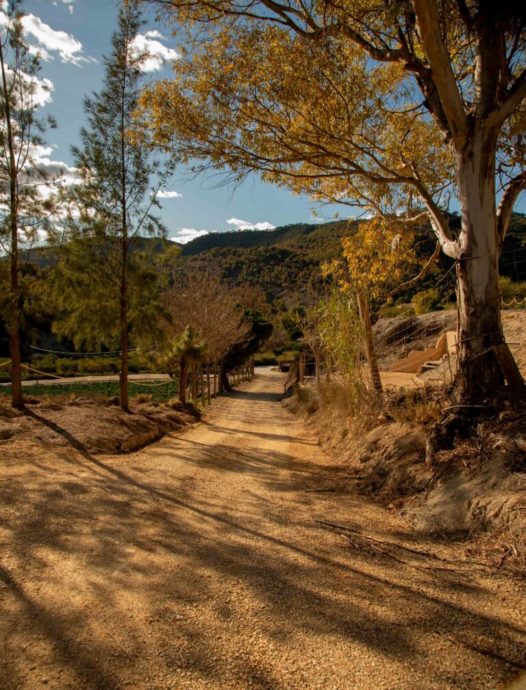 finca-1_25